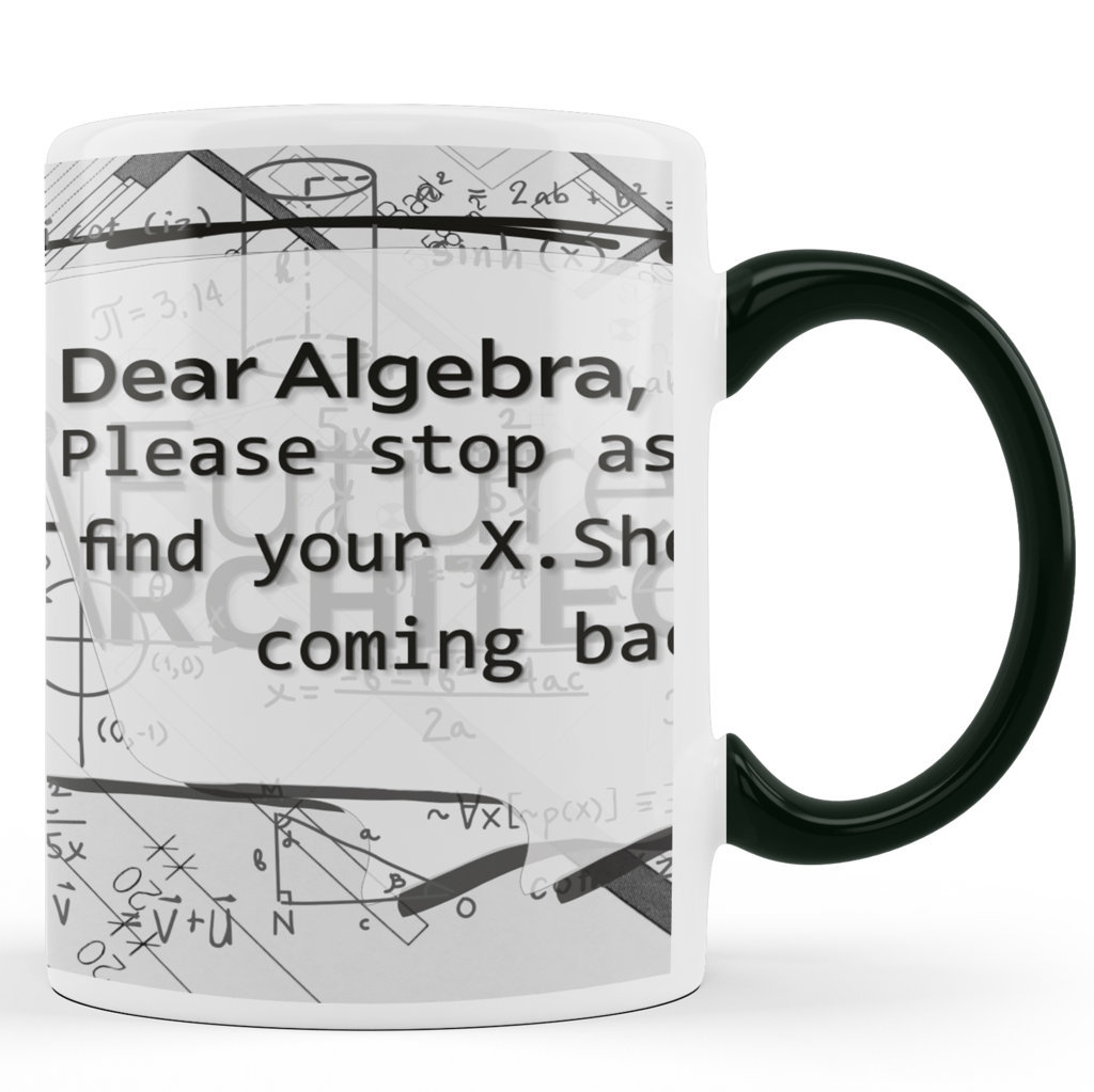 Printed Ceramic Coffee Mug | Mugs For Maths Lovers | Dear Algebra |325 Ml